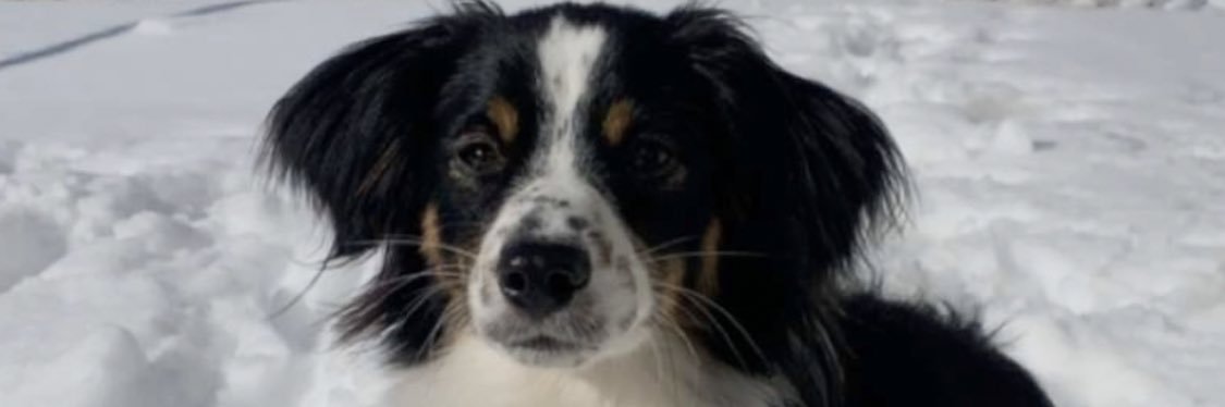 Kooterlicious's profile banner image
