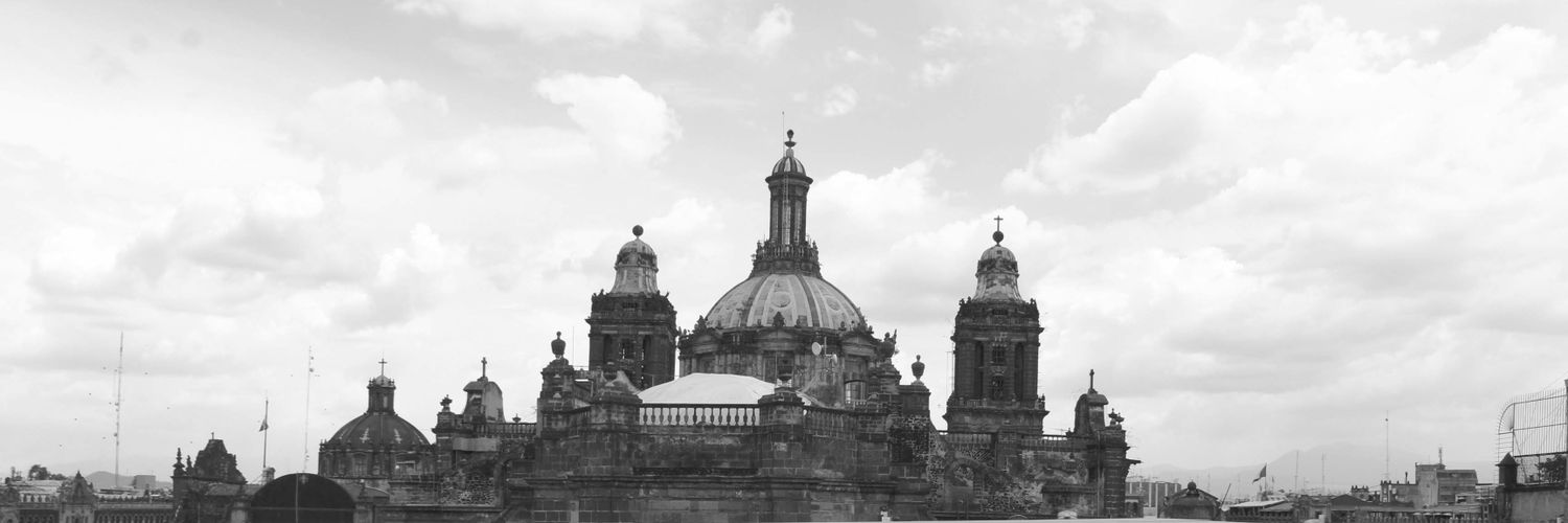 E. banner