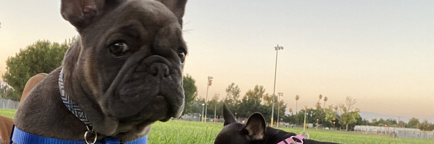 selibadajoz's profile banner image