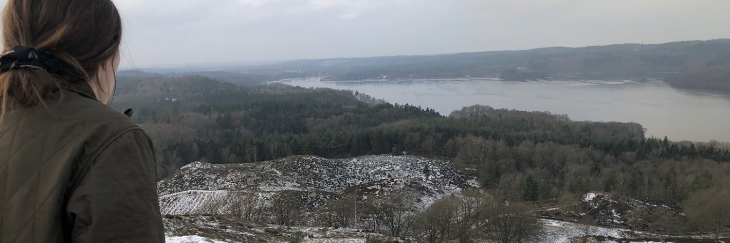 hougaardanders's profile banner image