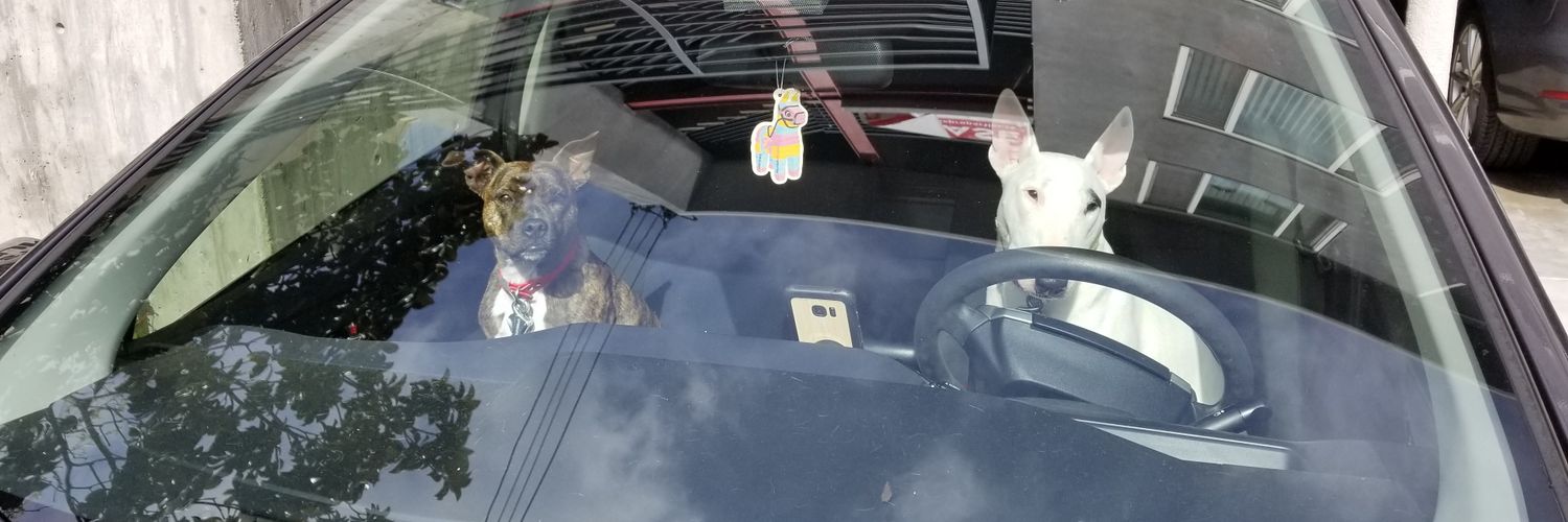 robwbrewer's profile banner image