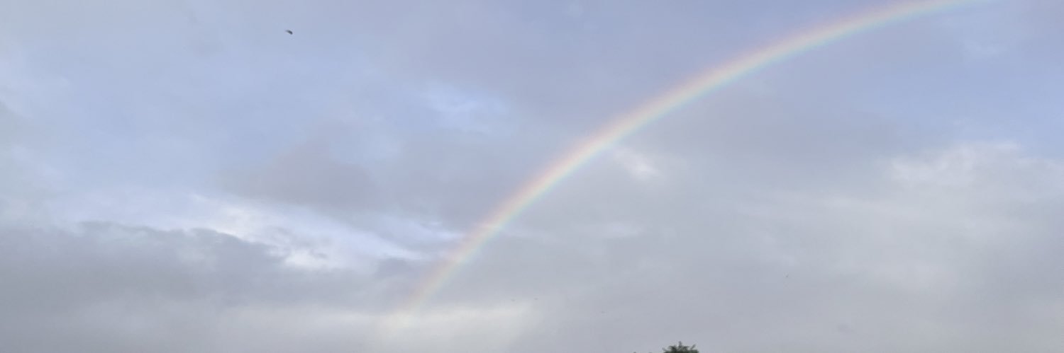 QuantumIndian3's profile banner image