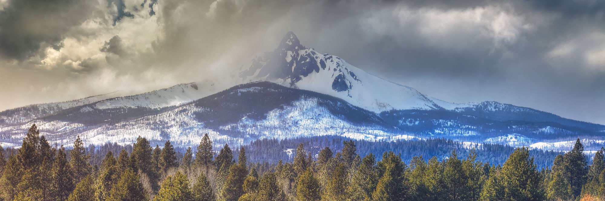 timothymonson's profile banner image