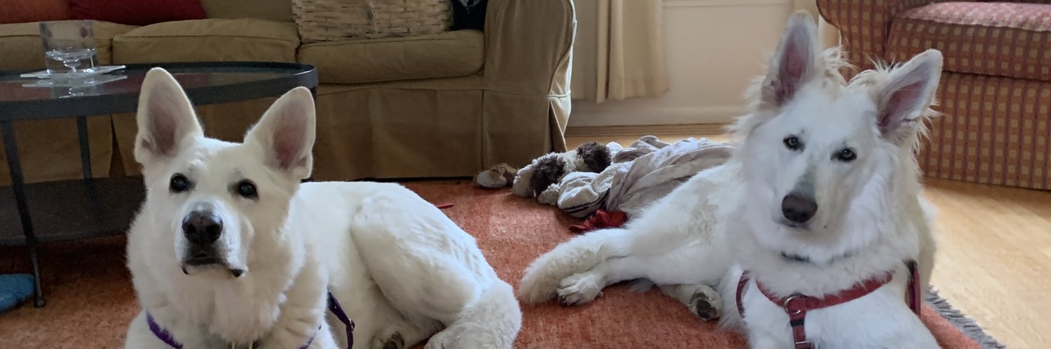 Asher MacDonald 🇺🇸🇨🇦🏴󠁧󠁢󠁳󠁣󠁴󠁿 banner