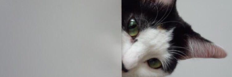 gateemu's profile banner image