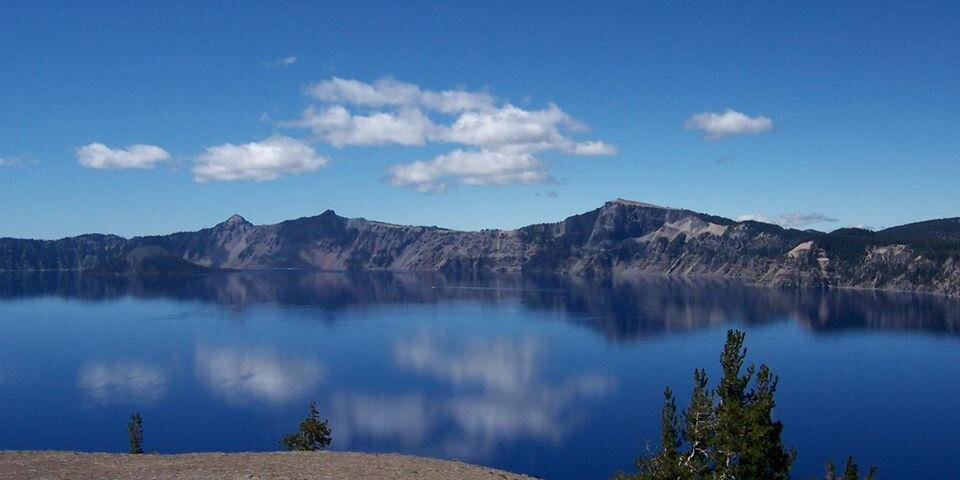 gretchen haley banner