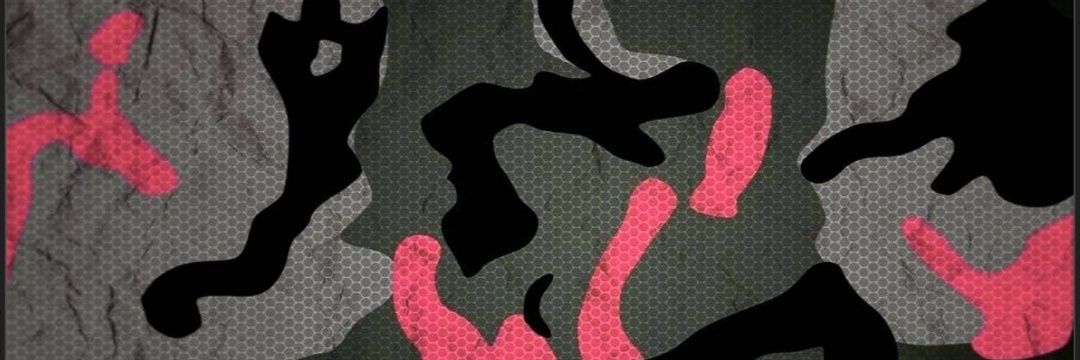 Southern Sleuth banner