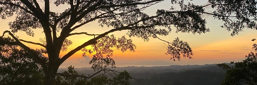 Kamil Barbarski banner