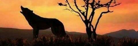 jenbritcas's profile banner image