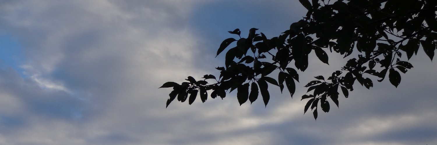 tomia2001's profile banner image
