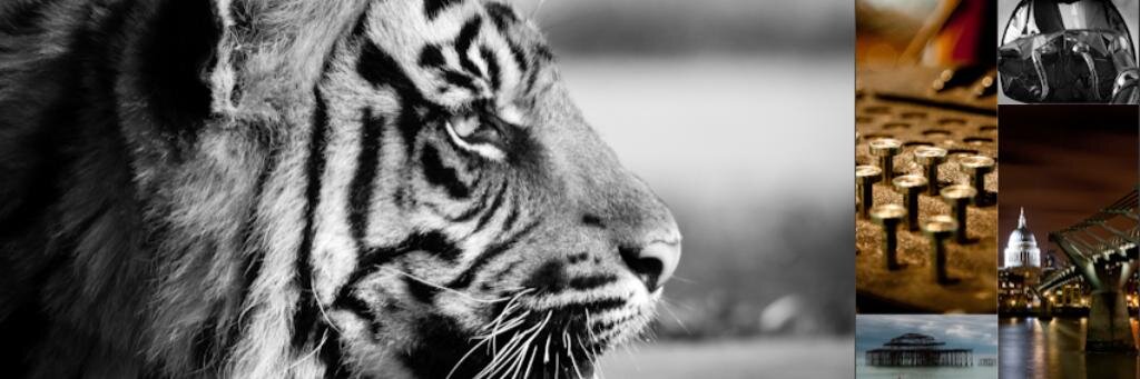MarkHoodPhoto's profile banner image