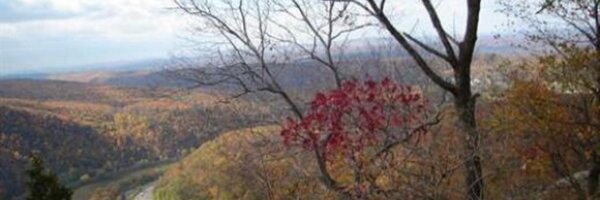 Themis_100 Profile Banner