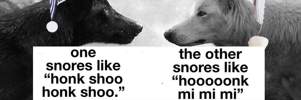Mayor of Snoozyville banner
