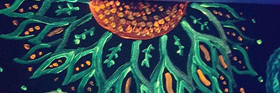 aniakmiec's profile banner image