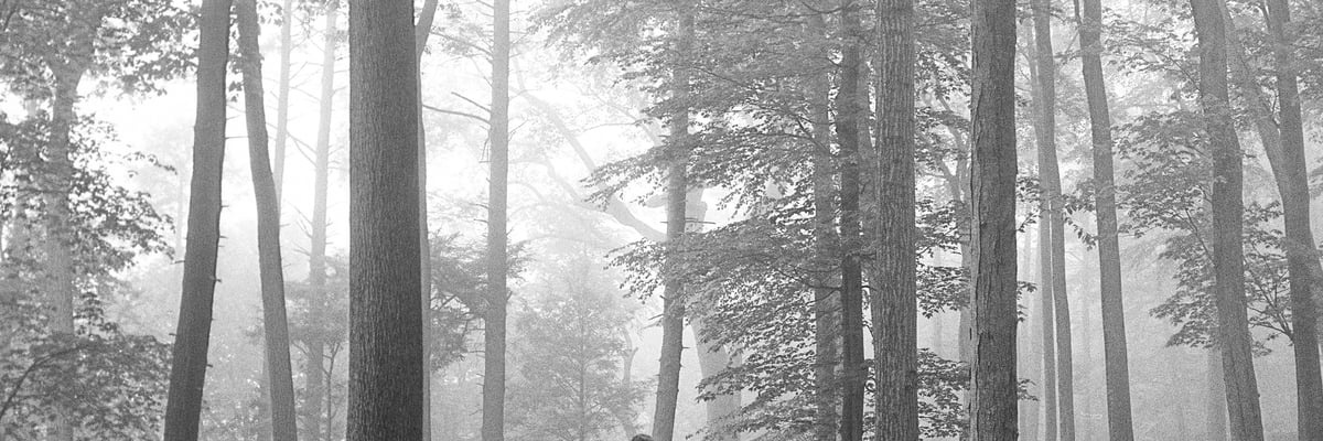 AllTooDrew13's profile banner image