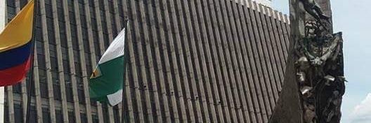 MARIA QUEVEDO banner