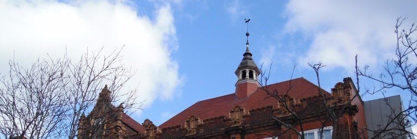 Mandeville School banner