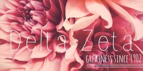 Delta Zeta banner