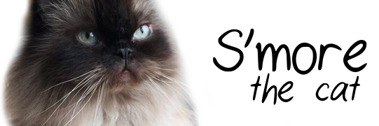 SmoreTheCat's profile banner image