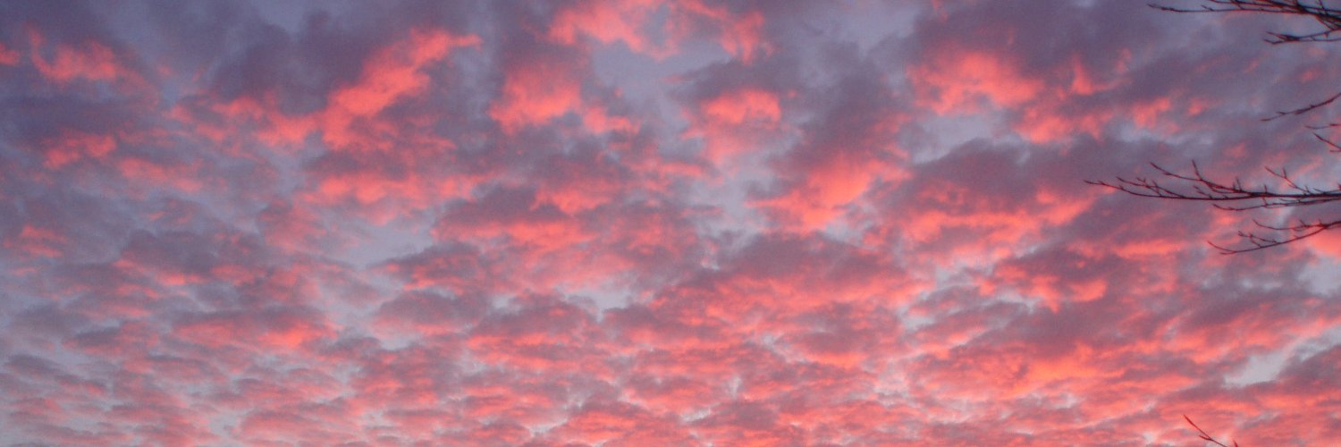 Selseywill's profile banner image