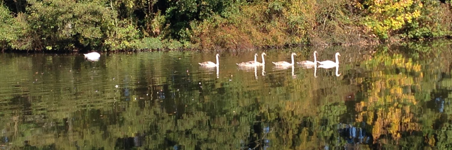 Louise Currie banner