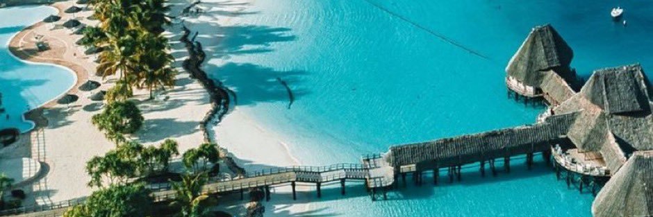 The Hungarian 🐺🇭🇺 banner