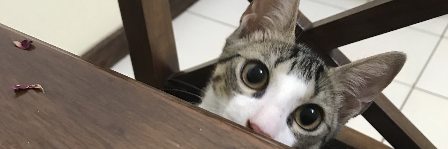 DanielleInsang's profile banner image