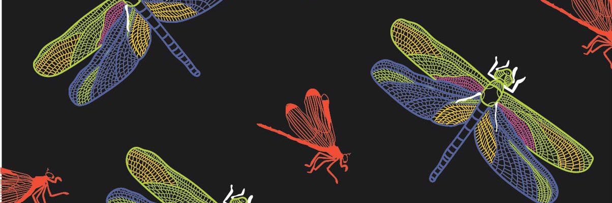 lizhenrydesign's profile banner image