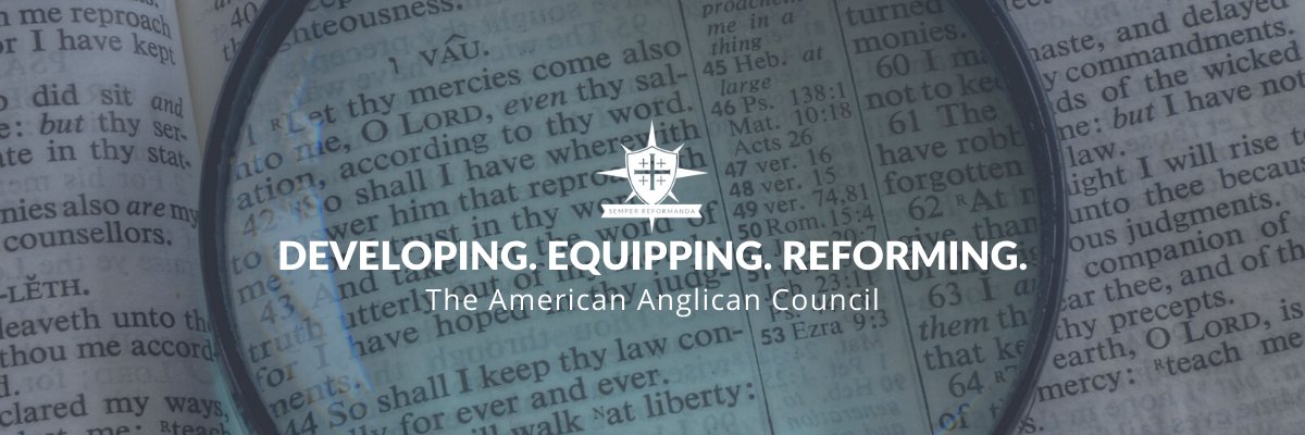 AnglicanCouncil's profile banner image