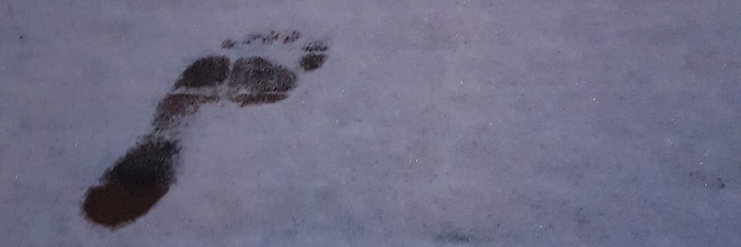 Simon van Mierlo banner