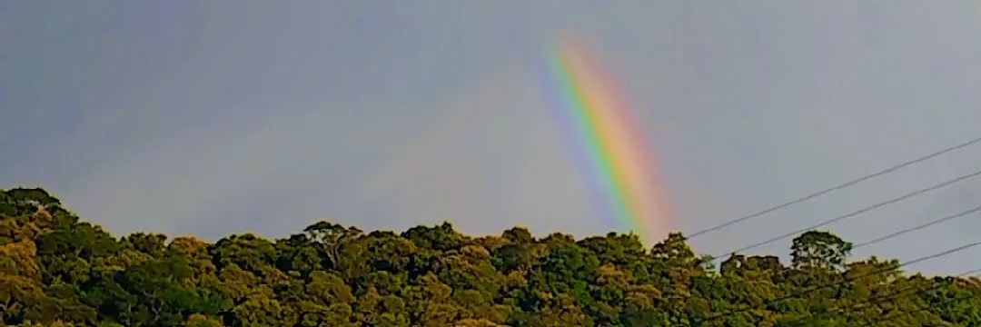 ferri_micheli's profile banner image
