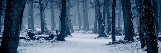 Mams_58's profile banner image