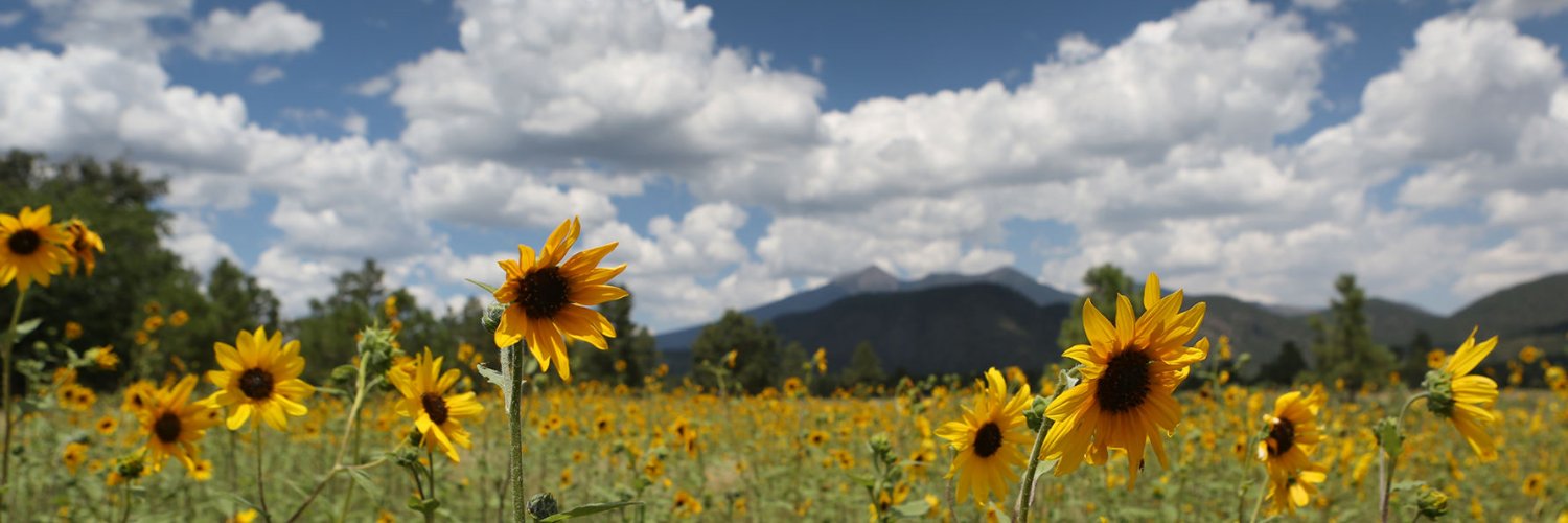 Arizona Daily Sun banner