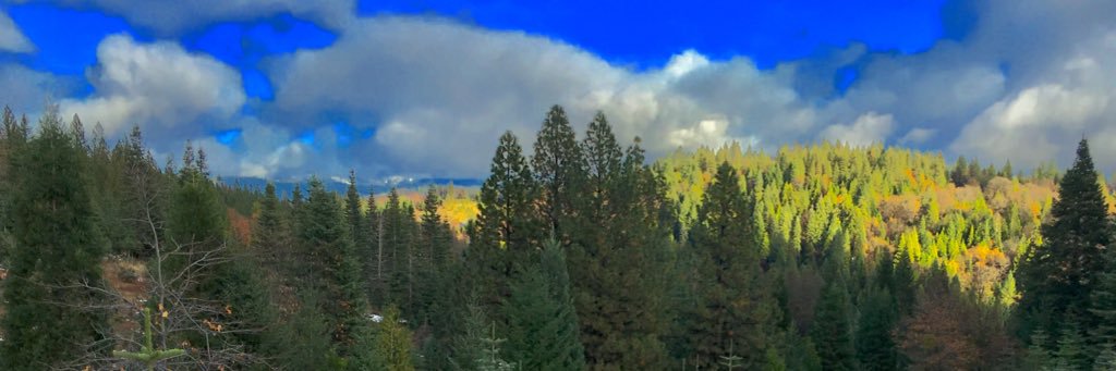 Josh_Brand's profile banner image