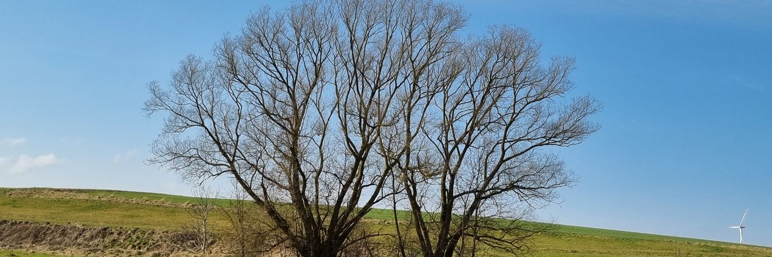 claudicam's profile banner image