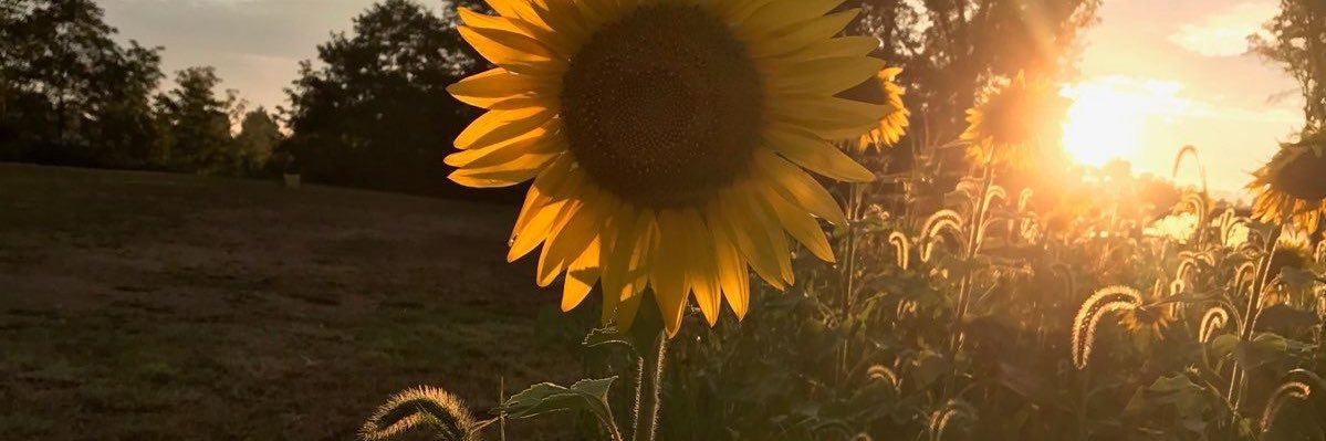 brianamsfts's profile banner image
