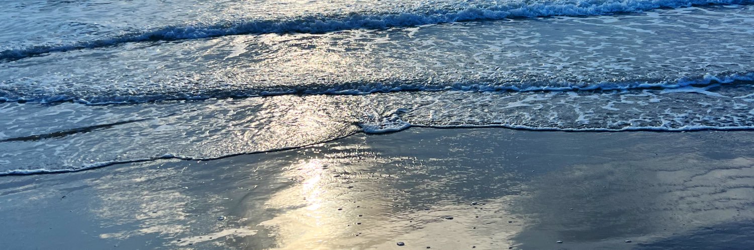 AnaLauraGall's profile banner image