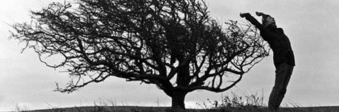 hasip bingöl banner