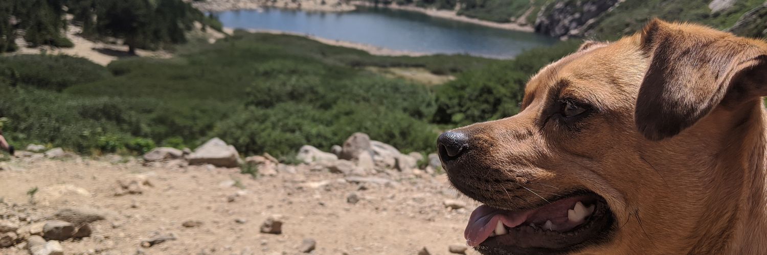 ryguywebster's profile banner image