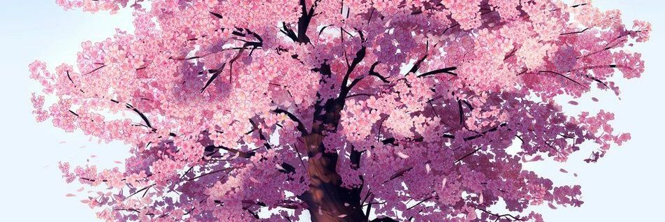 Spookysuzuki's profile banner image