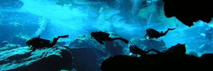 udivegirl's profile banner image