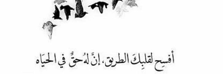 zainab_mlk's profile banner image
