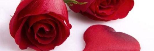 gorbatAl_rooh's profile banner image