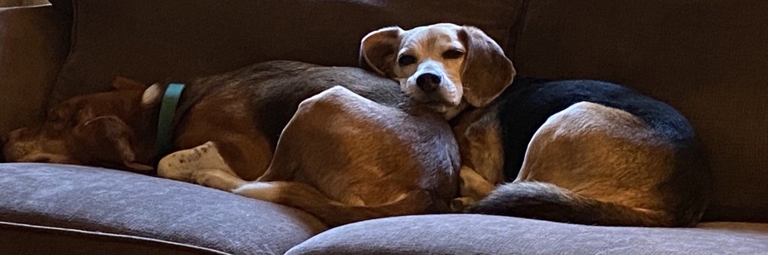 Elizabeth A Spudich (she/her)🏳️‍🌈☠️🧠 banner