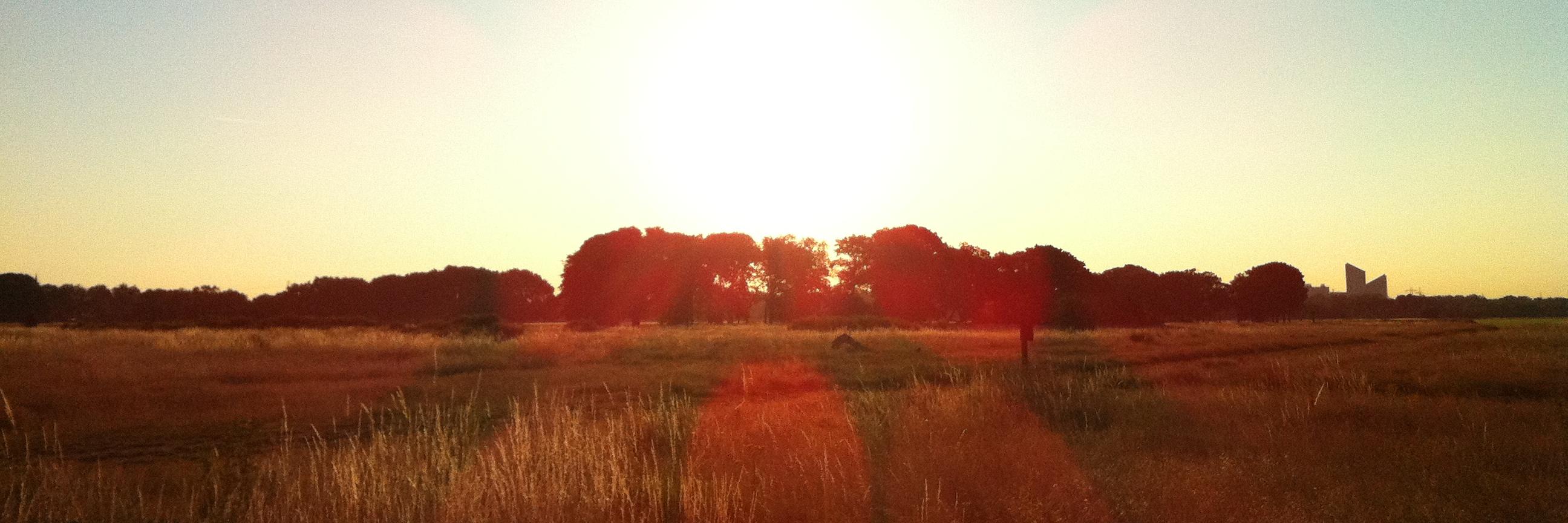 BuffaloTheorem's profile banner image