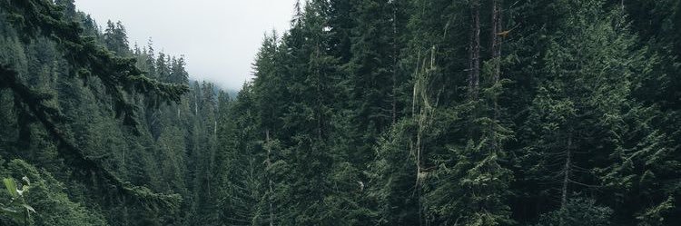 Troye_sun's profile banner image