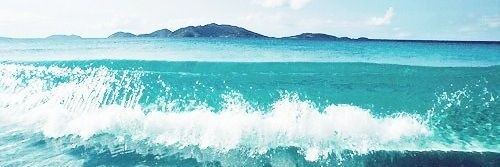 Caro del 🌊 banner