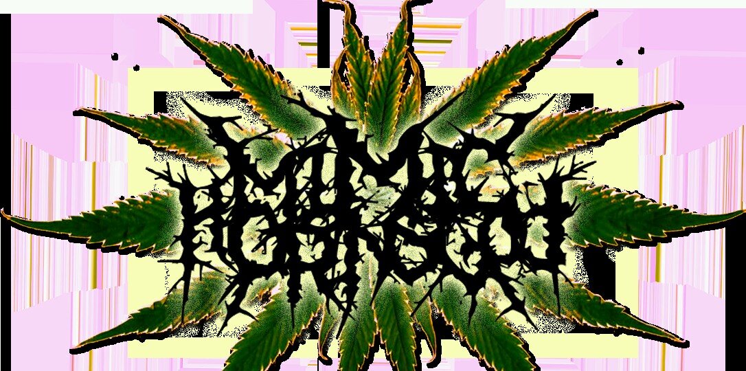 MHD Heryady banner