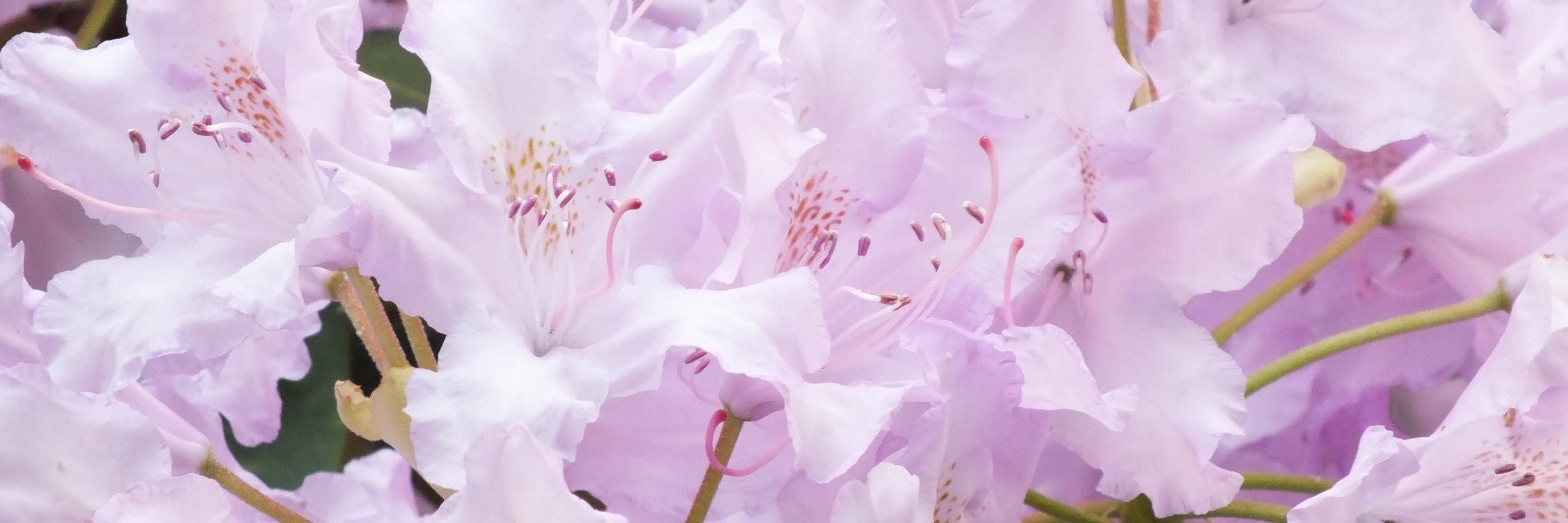 JessiekeyD's profile banner image