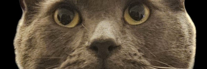 iSeanyD's profile banner image